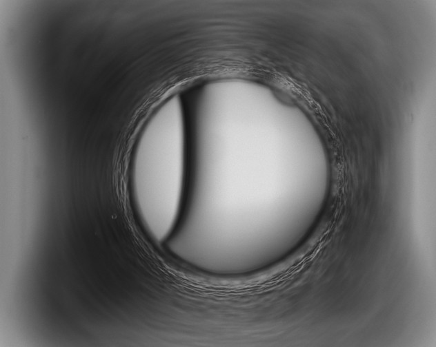 X0000097990002200803241031
