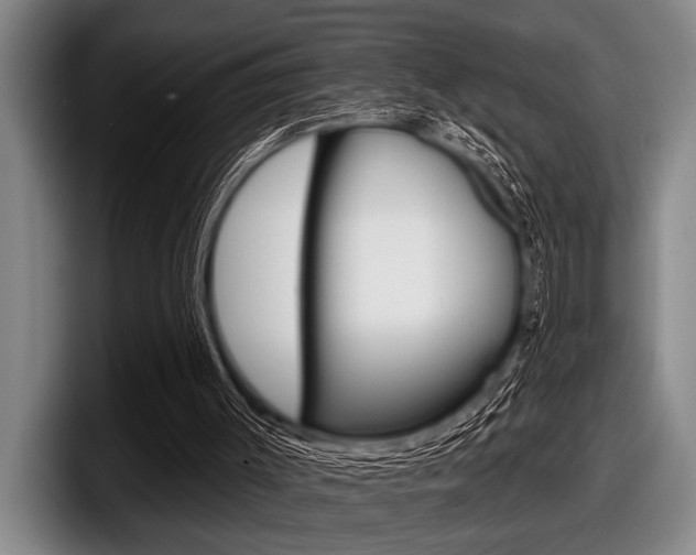 X0000097990003200803241031