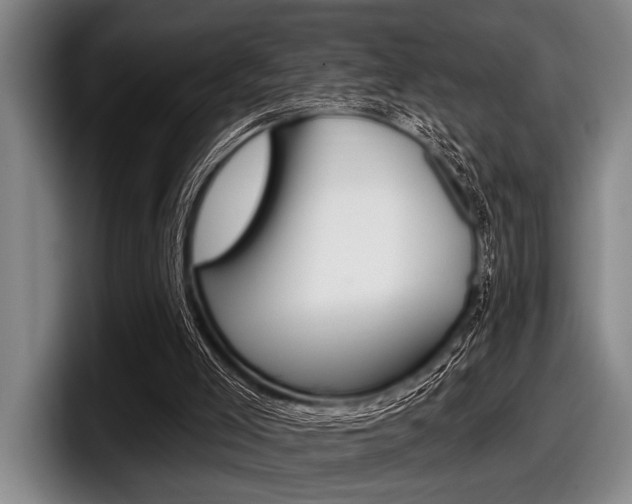 X0000097990005200803241031