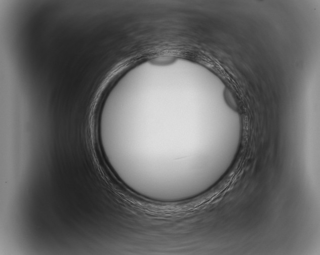 X0000097990006200803241031