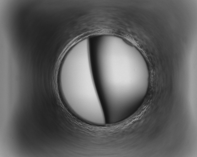 X0000097990007200803241031