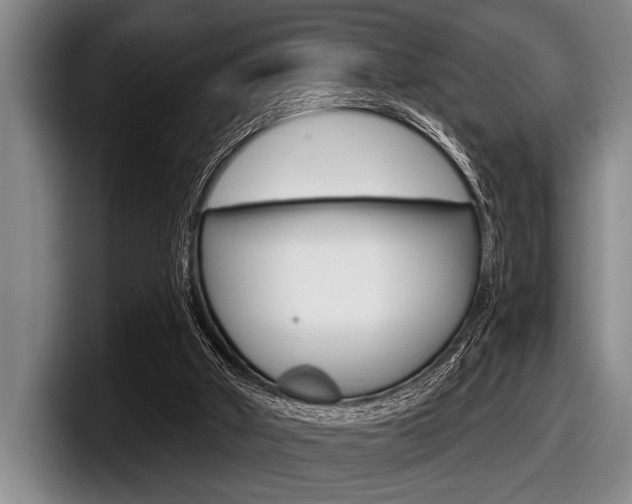 X0000097990010200803241031