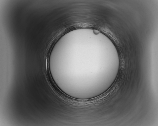 X0000097990014200803241031