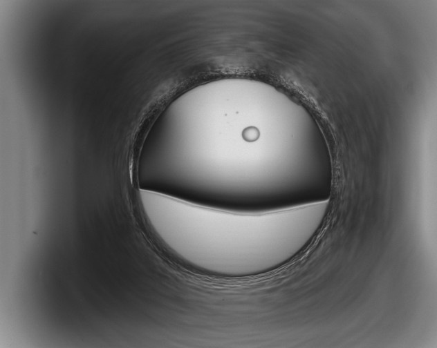 X0000097990019200803241031
