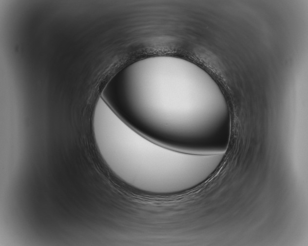 X0000097990021200803241031