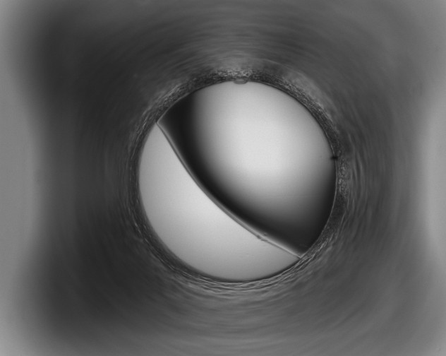 X0000097990023200803241030