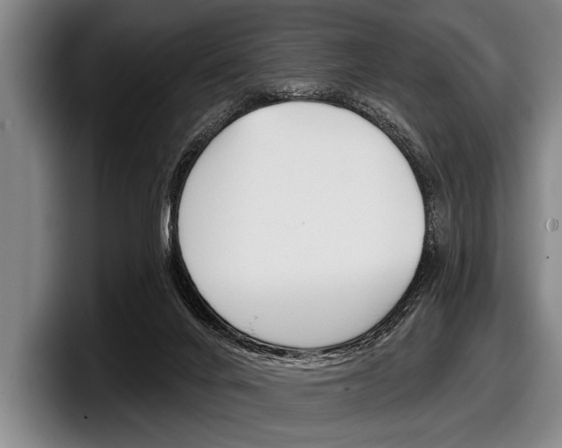X0000097990024200803241030