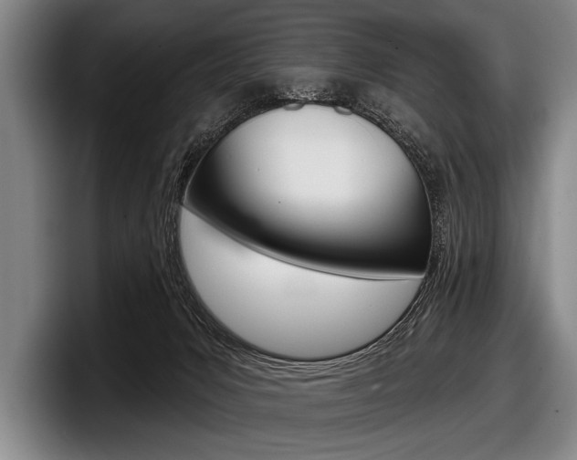X0000097990031200803241030