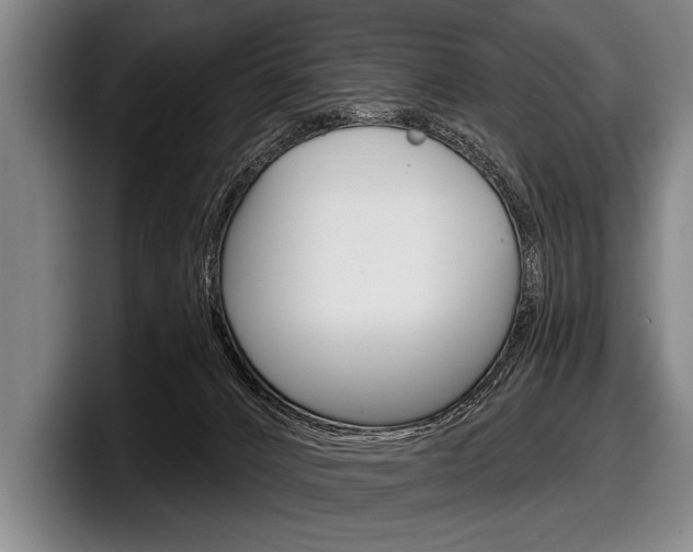 X0000097990032200803241030