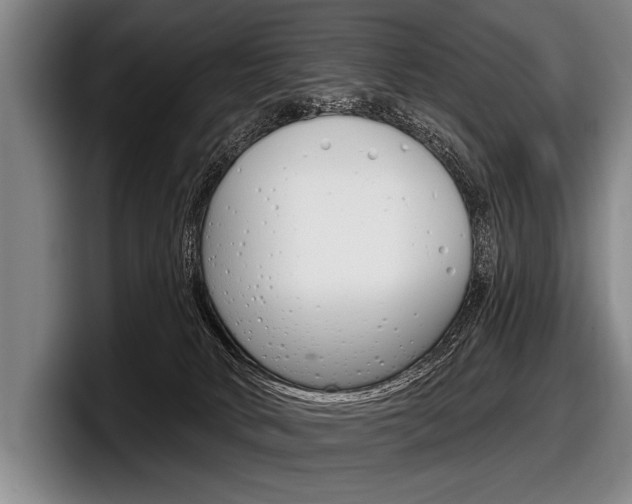 X0000097990034200803241030
