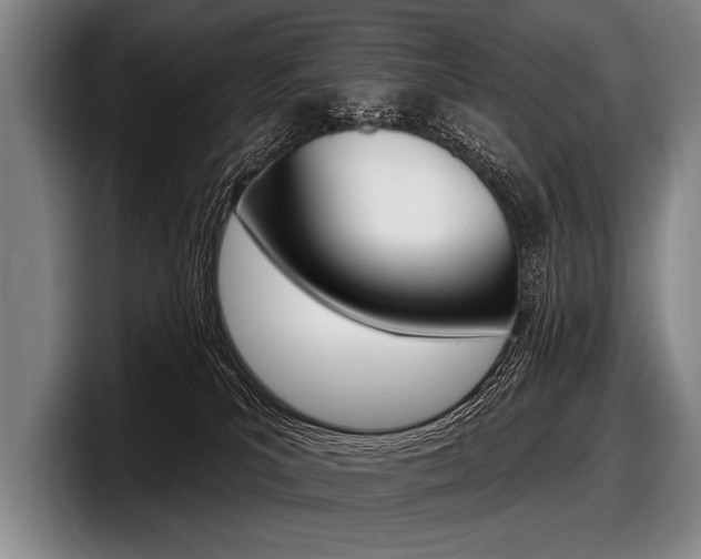 X0000097990039200803241030