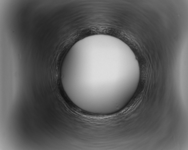 X0000097990040200803241030