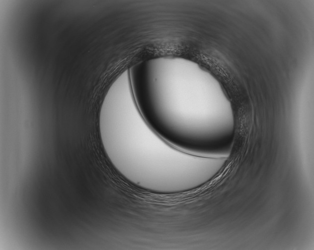 X0000097990041200803241030