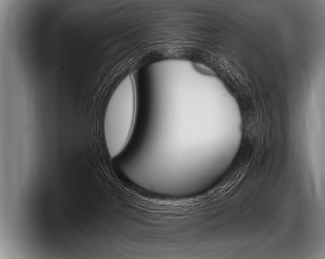 X0000097990044200803241030