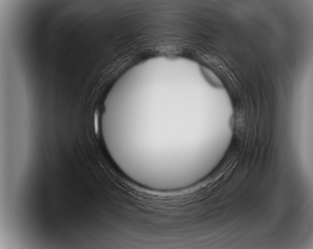 X0000097990046200803241030