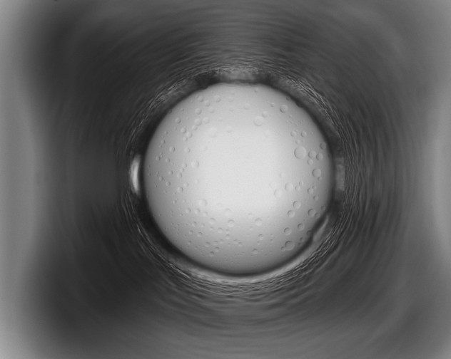 X0000097990047200803241030