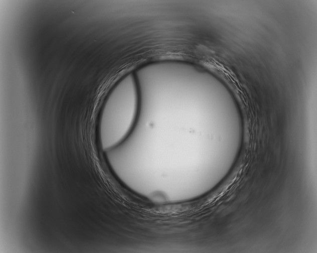 X0000097990049200803241030
