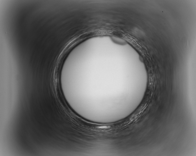 X0000097990053200803241030