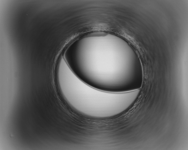 X0000097990060200803241030