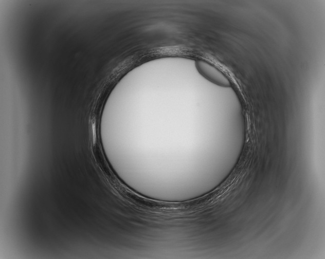 X0000097990061200803241030