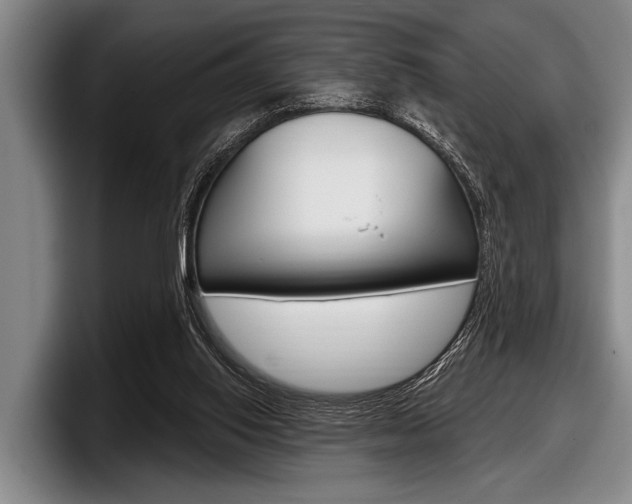X0000097990062200803241030
