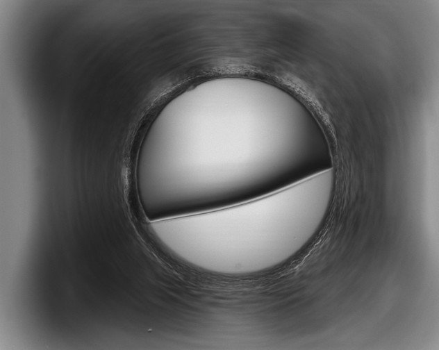 X0000097990063200803241030