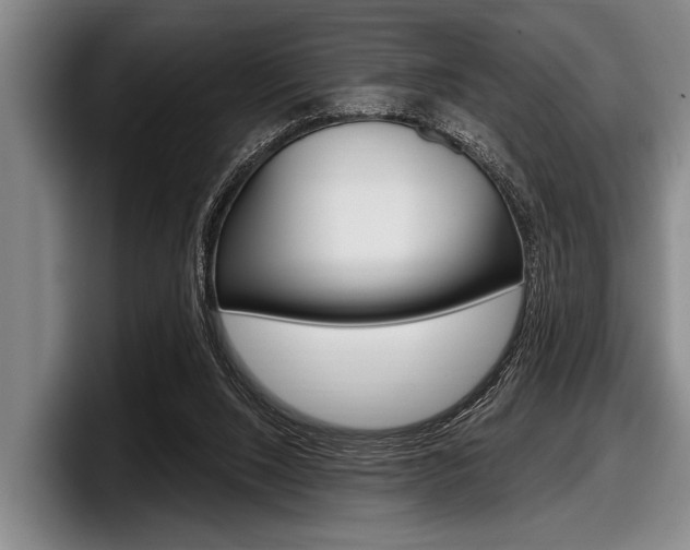 X0000097990064200803241030