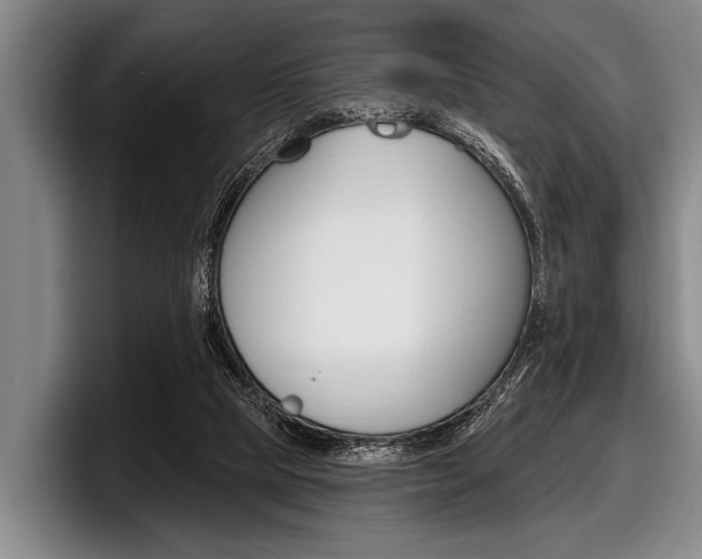 X0000097990065200803241030