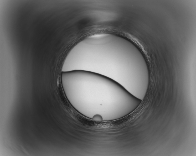 X0000097990069200803241030