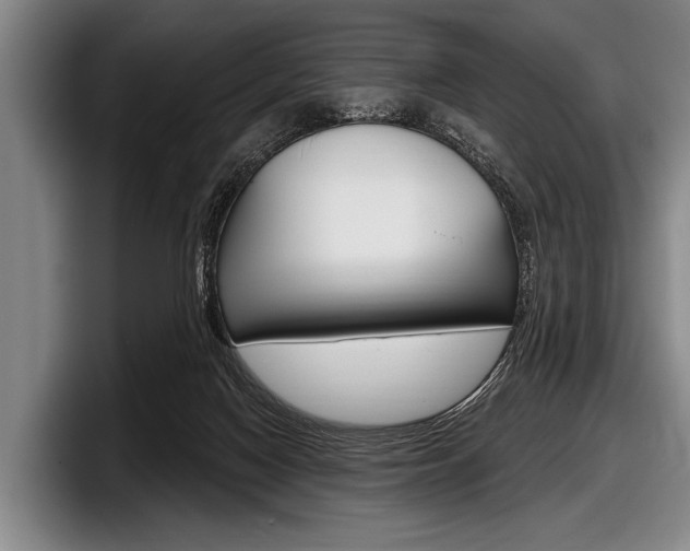 X0000097990074200803241030