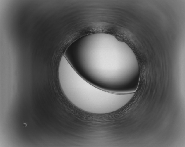 X0000097990076200803241030