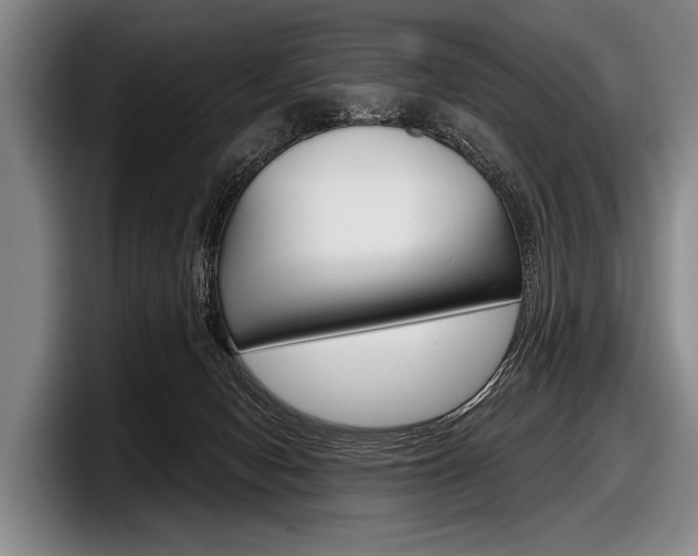 X0000097990078200803241030