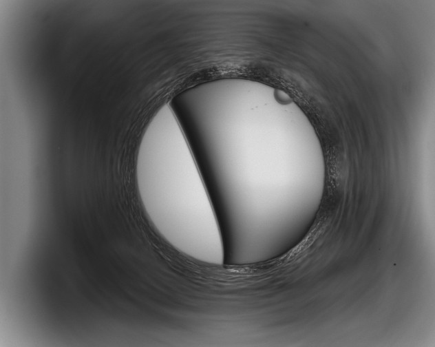 X0000097990082200803241030