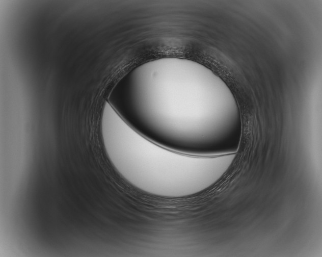 X0000097990084200803241030