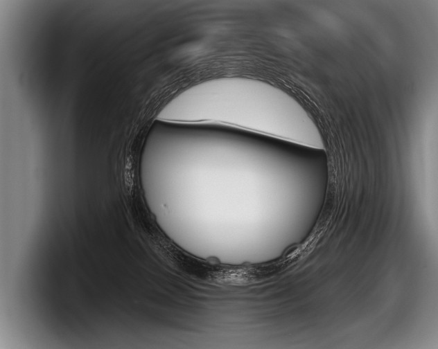 X0000097990086200803241030