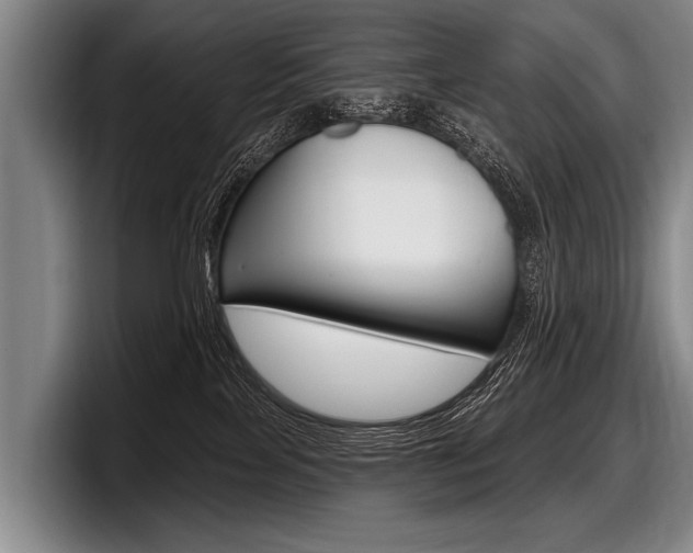 X0000097990089200803241030