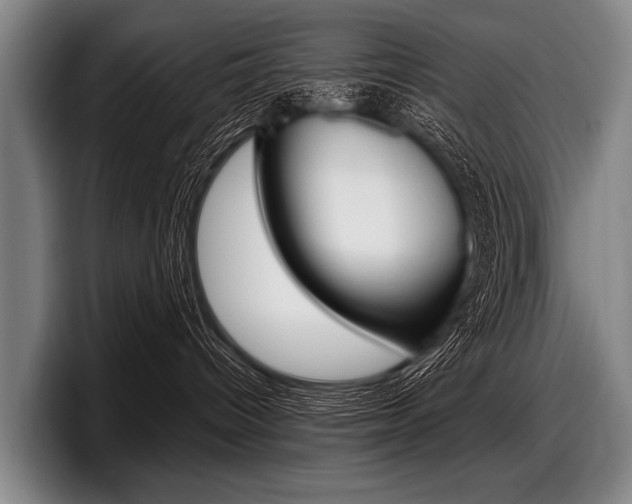 X0000097990096200803241030