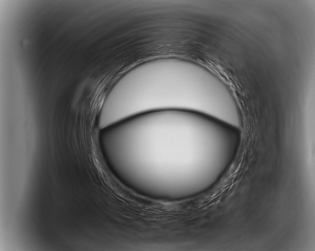 X0000097990097200803241030