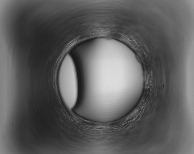 X0000097990099200803241029