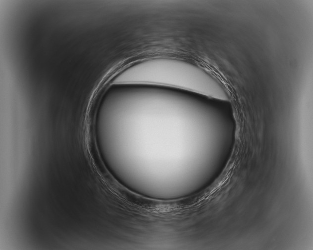 X0000097990101200803241029
