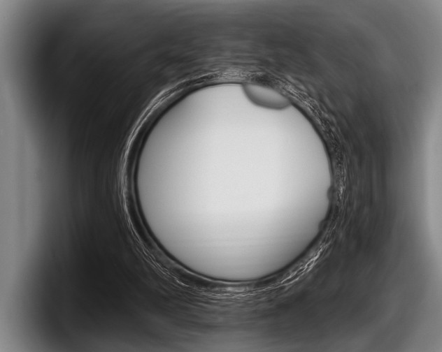 X0000097990102200803241029