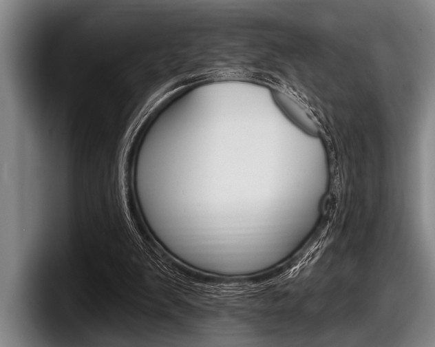 X0000097990103200803241029