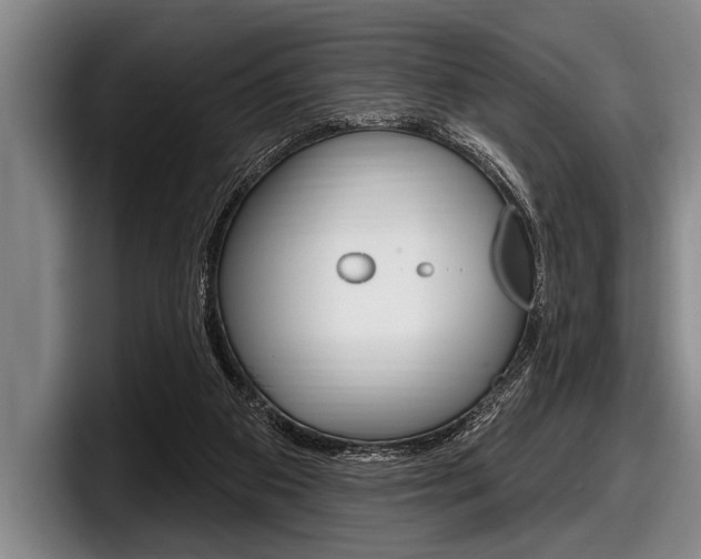 X0000097990113200803241029