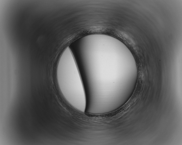 X0000097990115200803241029