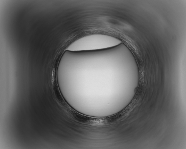 X0000097990118200803241029
