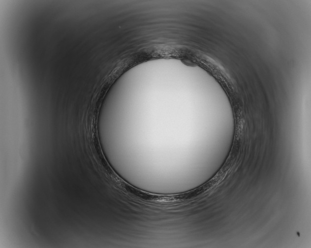 X0000097990121200803241029