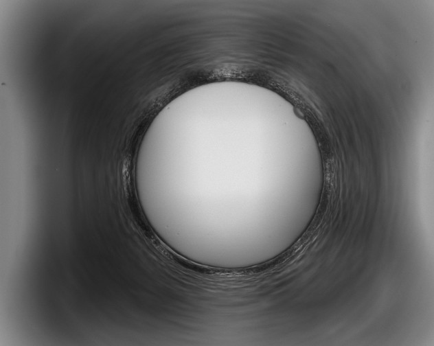 X0000097990127200803241029