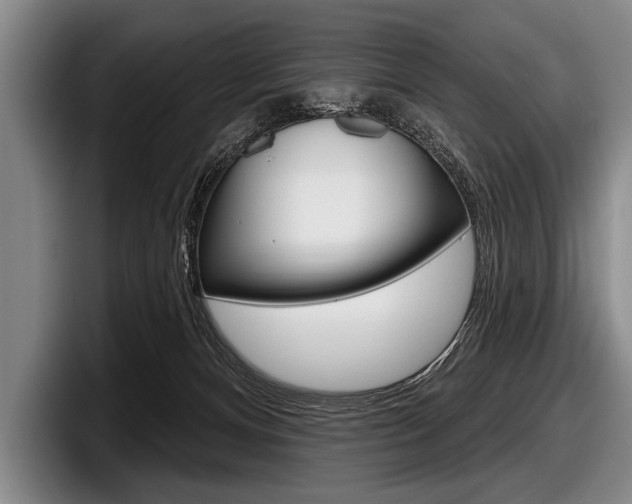 X0000097990128200803241029
