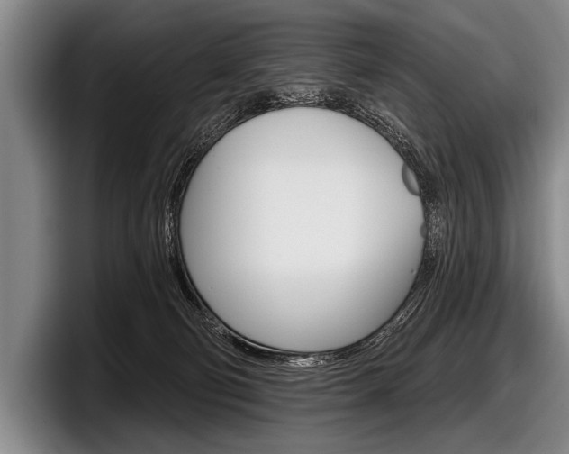 X0000097990130200803241029