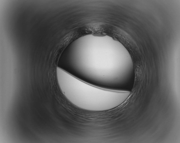 X0000097990132200803241029